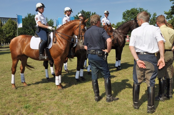 Polizeidirektion   152.jpg